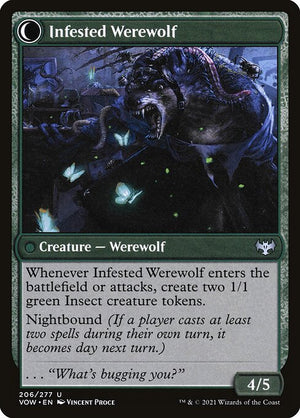 Infestation Expert // Infested Werewolf (206) [Innistrad: Crimson Vow] Reverse