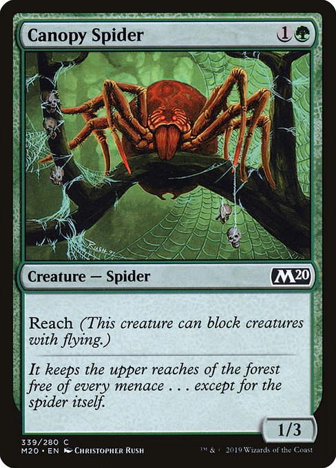 Canopy Spider (339) [Core Set 2020]