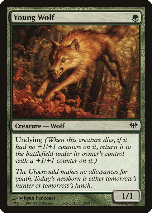 Young Wolf (134) [Dark Ascension]