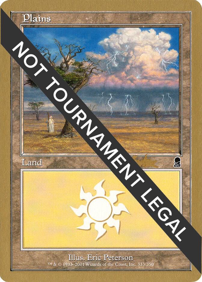 Plains (333) - 2002 Brian Kibler (ODY) [World Championship Decks]