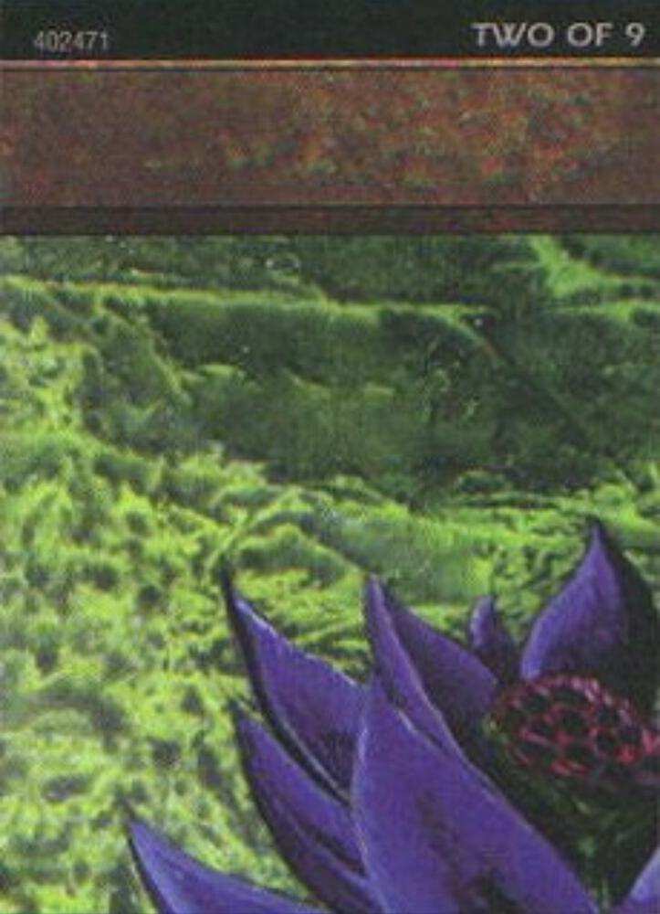 Black Lotus (2 of 9) (Ultra Pro Puzzle Quest) (1) [Media Promos]