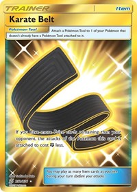 Karate Belt (Secret) (252/236) [SM Unified Minds]
