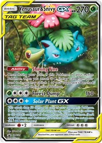 Venusaur & Snivy GX - SM229 (SM229) [SM Promos]