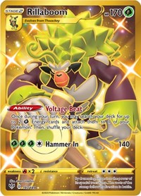 Rillaboom (Secret) (197/189) [SWSH03 Darkness Ablaze]