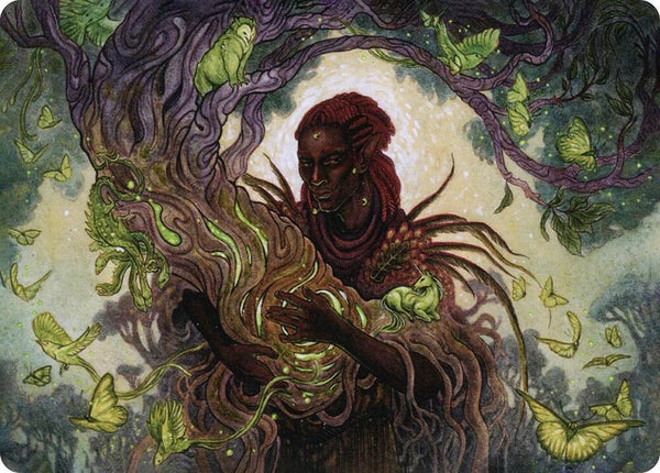 Circle of Dreams Druid Art Card (66) [Adventures in the Forgotten Realms Art Series]