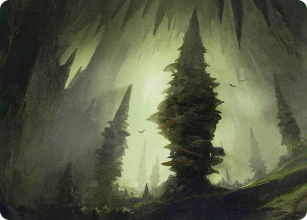 Forest (55/81) Art Card [Adventures in the Forgotten Realms Art Series]