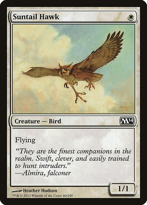 Suntail Hawk (40) [Magic 2014]