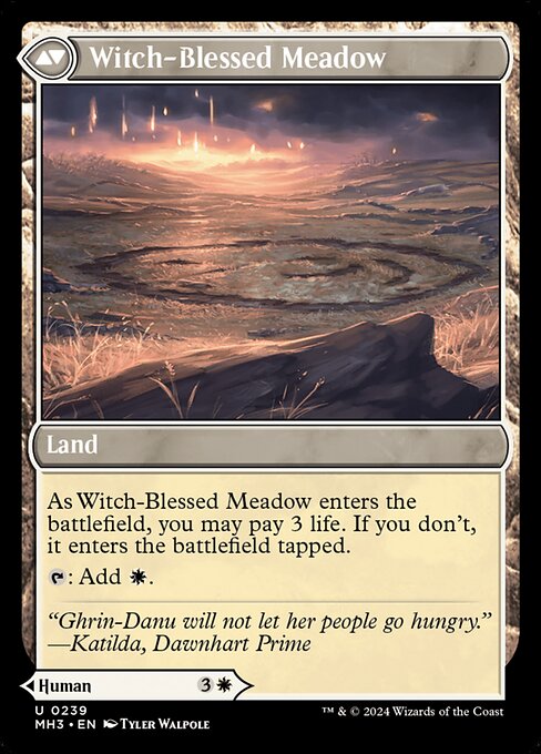 Witch Enchanter // Witch-Blessed Meadow (239) [Modern Horizons 3]