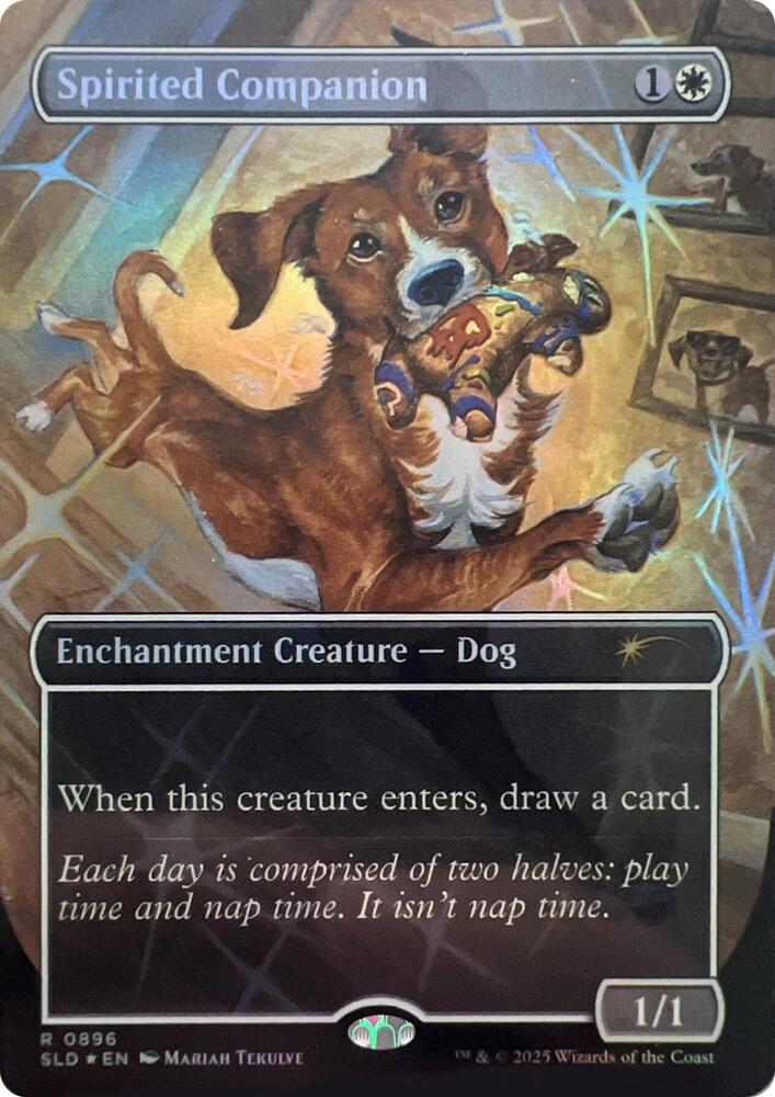 Spirited Companion (0896) (Rainbow Foil) [Secret Lair Drop]