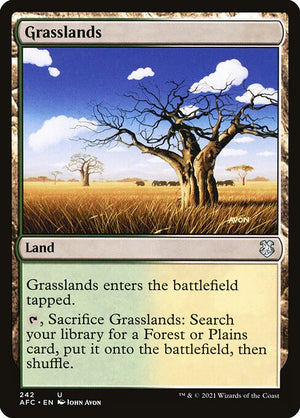 Grasslands (242) [Forgotten Realms Commander]