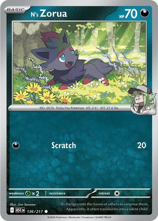 N's Zorua (136/217) [ME: Ascended Heroes]