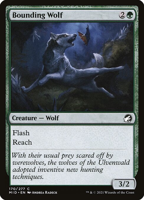 Bounding Wolf (170) [Innistrad: Midnight Hunt]