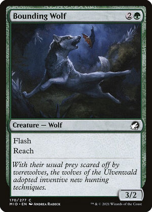 Bounding Wolf (170) [Innistrad: Midnight Hunt]