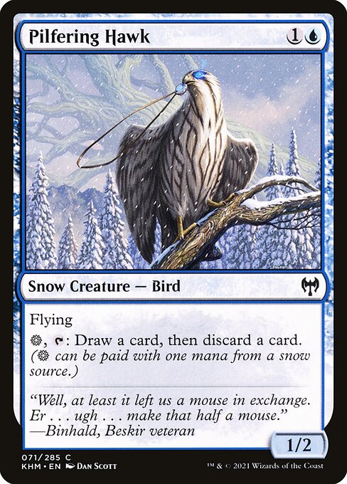 Pilfering Hawk (71) [Kaldheim]
