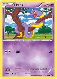 Ekans (47/146) [XY Base Set]