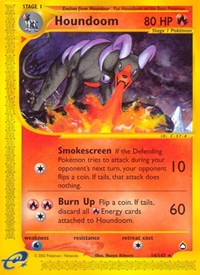 Houndoom (14) (014/147) [Aquapolis]
