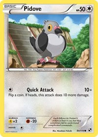 Pidove (84/114) [Black and White]