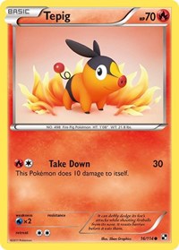 Tepig (16) (16/114) [Black and White]