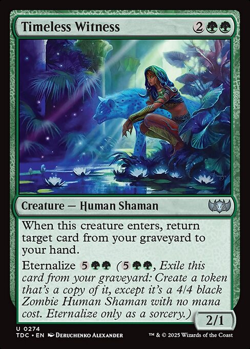 Timeless Witness (274) [Tarkir: Dragonstorm Commander]