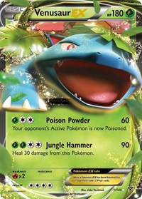 Venusaur EX (1/146) [XY Base Set]