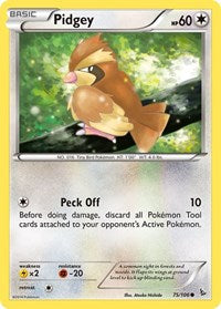 Pidgey (75/106) [XY Flashfire]