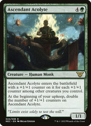 Ascendant Acolyte (24) [Neon Dynasty Commander]