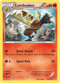 Combusken (27/160) [XY Primal Clash]