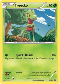 Treecko - XY36 (XY36) [XY Promos]