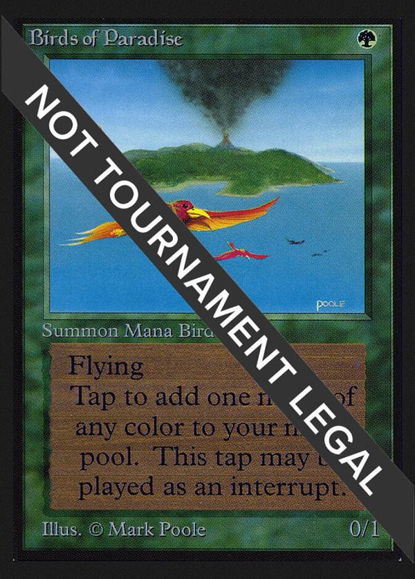 Birds of Paradise (IE) [International Edition]