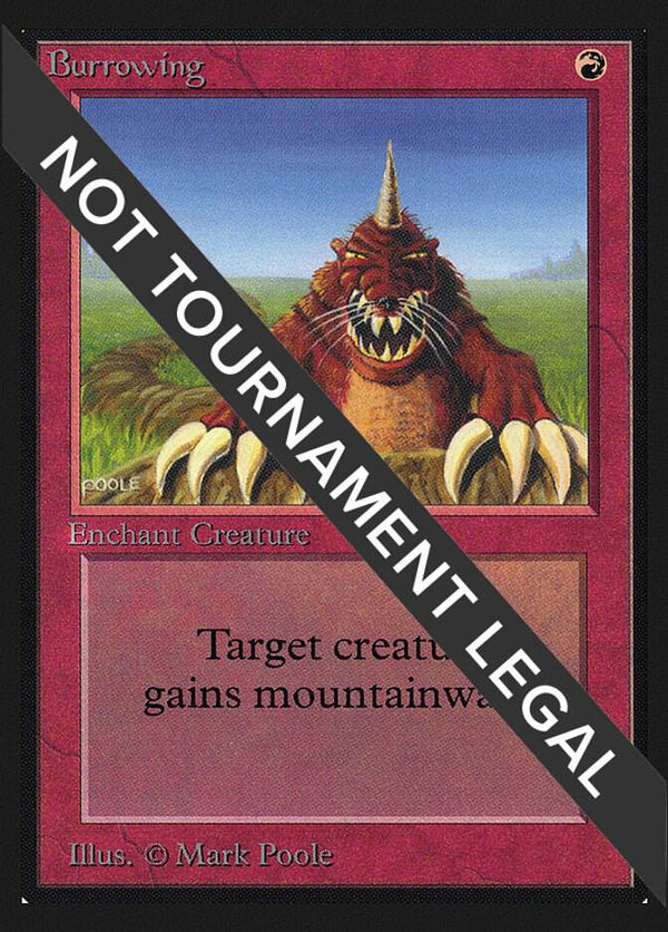 Burrowing (IE) [International Edition]