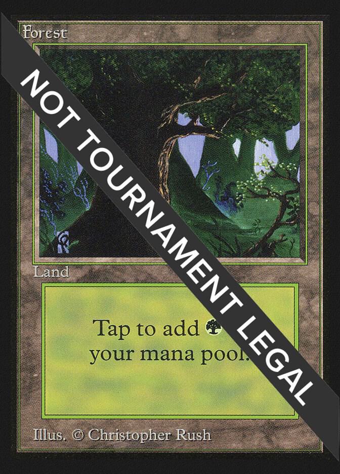 Forest (C) (IE) (282) [International Edition]