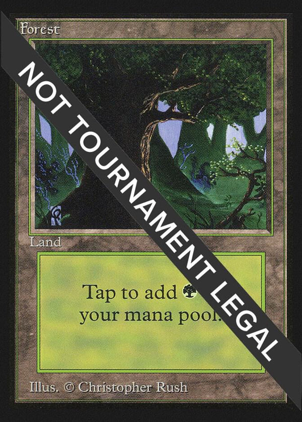 Forest (C) (IE) (282) [International Edition]