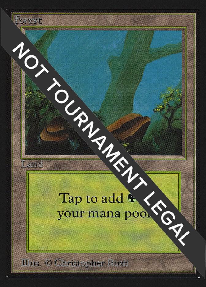 Forest (A) (CE) (280) [Collector's Edition]