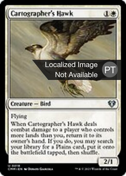 Cartographer's Hawk (18) [Commander Masters]