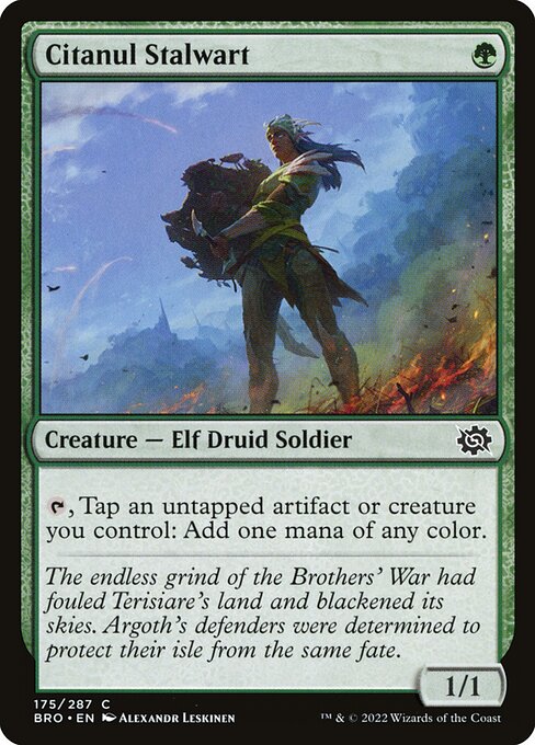 Citanul Stalwart (175) [The Brothers' War]