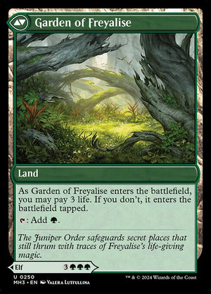 Disciple of Freyalise // Garden of Freyalise (250) [Modern Horizons 3] Reverse