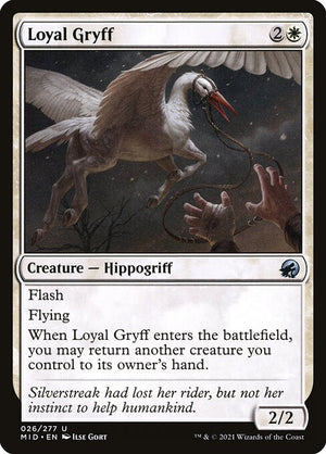 Loyal Gryff (26) [Innistrad: Midnight Hunt]