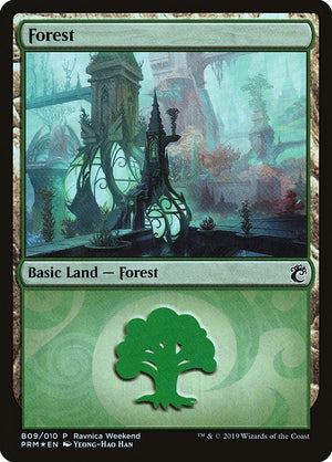 Forest (B09) [RNA Ravnica Weekend]