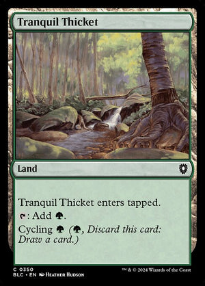 Tranquil Thicket (350) [Bloomburrow Commander]