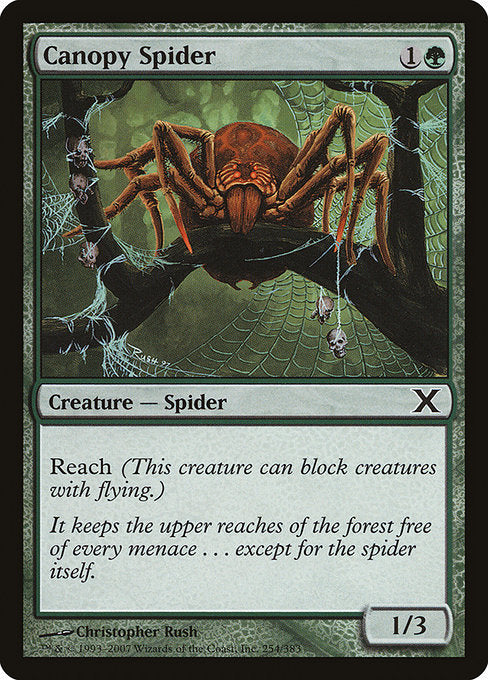 Canopy Spider (254) [Tenth Edition]