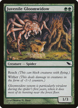 Juvenile Gloomwidow (121) [Shadowmoor]