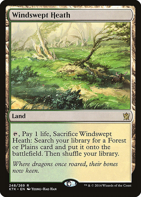 Windswept Heath (248) [Khans of Tarkir]