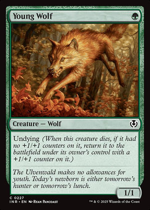 Young Wolf (227) [Innistrad Remastered]