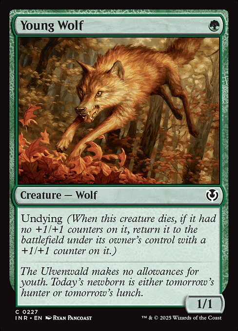 Young Wolf (227) [Innistrad Remastered]