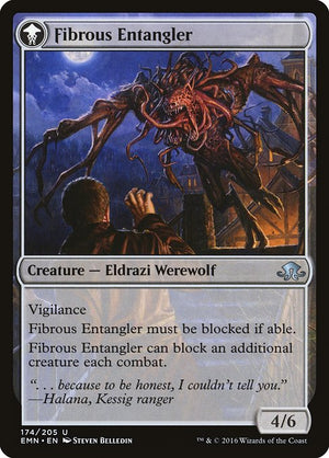 Tangleclaw Werewolf // Fibrous Entangler (174) [Eldritch Moon] Reverse