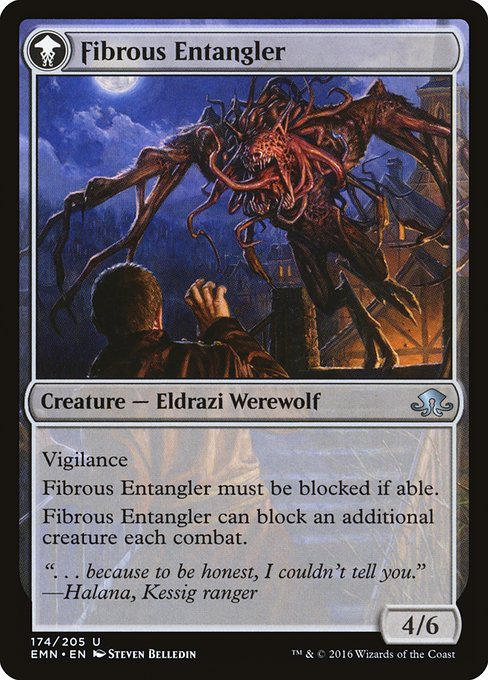 Tangleclaw Werewolf // Fibrous Entangler (174) [Eldritch Moon] Reverse