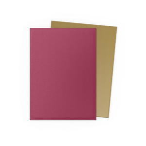 Dragon Shield Sleeves Dual Matte Special Anniversary Edition Red/Gold 100ct